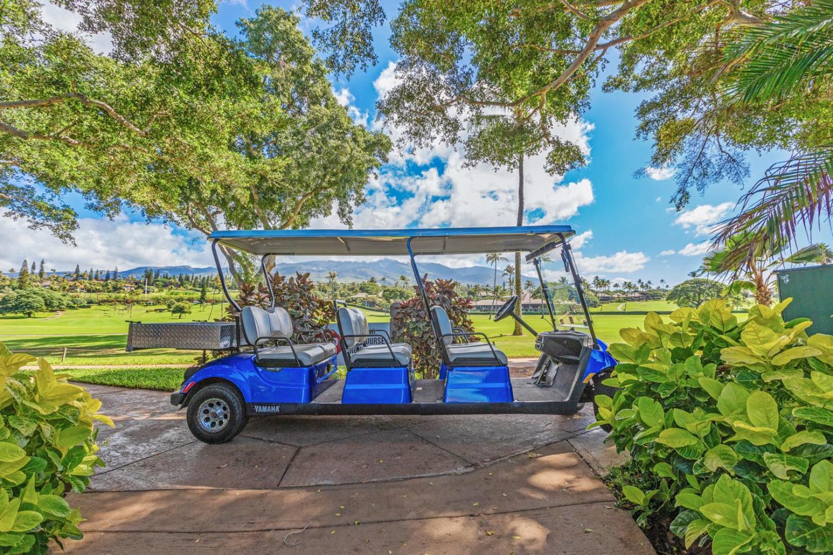Maui Eldorado - J-106 - Walk-Out Ocean Views Hotel Kahana Bagian luar foto